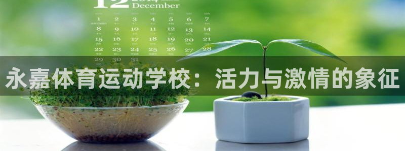 米兰体育官网下载招商电话地址查询:永嘉体育运动学校:活力与激